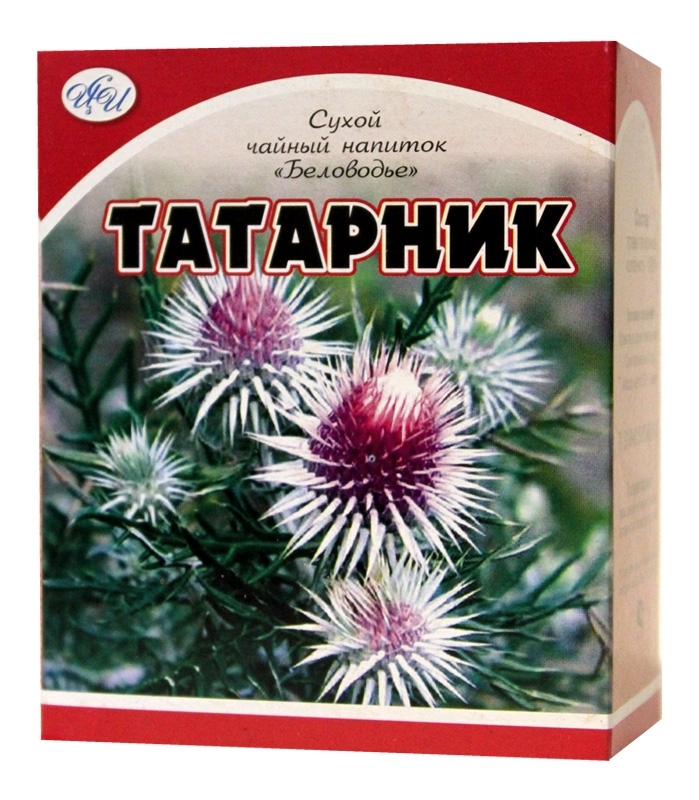 Татарник Фото Лечебные Свойства